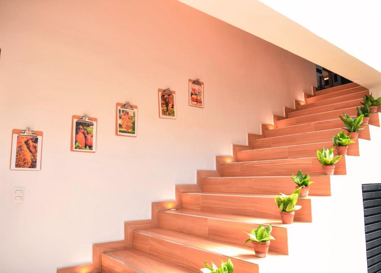 Kaleo Hotel Boutique San Salvador Kültér fotó